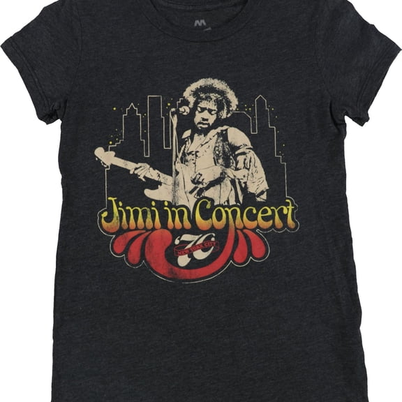 Local Celebrity Womens Jimi In Concert Graphic T-Shirt, Grey, Medium