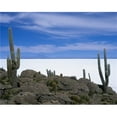 thumbnail image 1 of Local Flora - Uyuni Salt Flat Poster Print - 34 x 26 - Large, 1 of 1