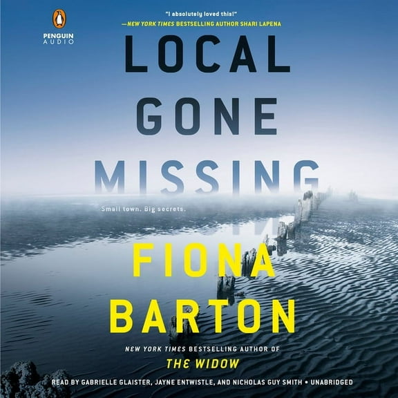 Local Gone Missing (CD-Audio)