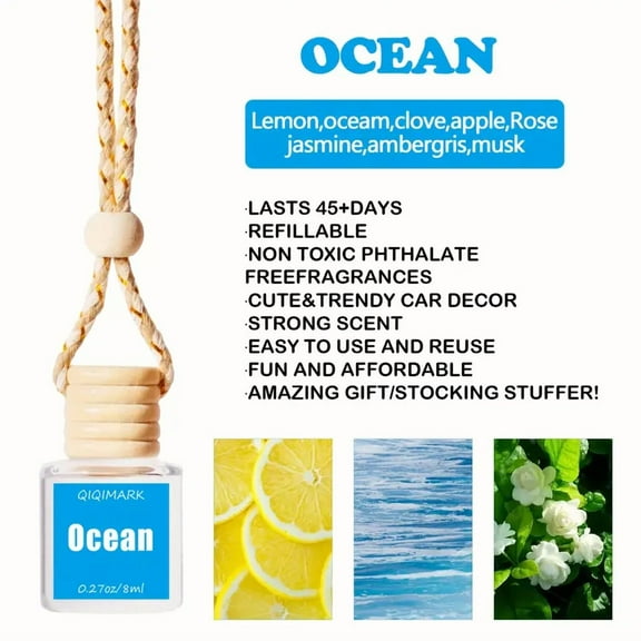 Local warehouse1 Pack Long-Lasting Car Air Hanging Fragrance Oil Diffuser-Ocean Breeze