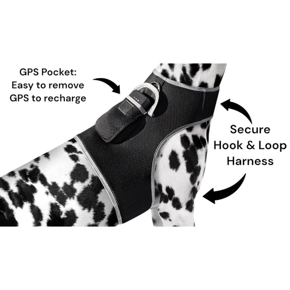 Locate Lost Pet Easily with Collar Mounted Waterproof GPS Pet Tracker Size:M