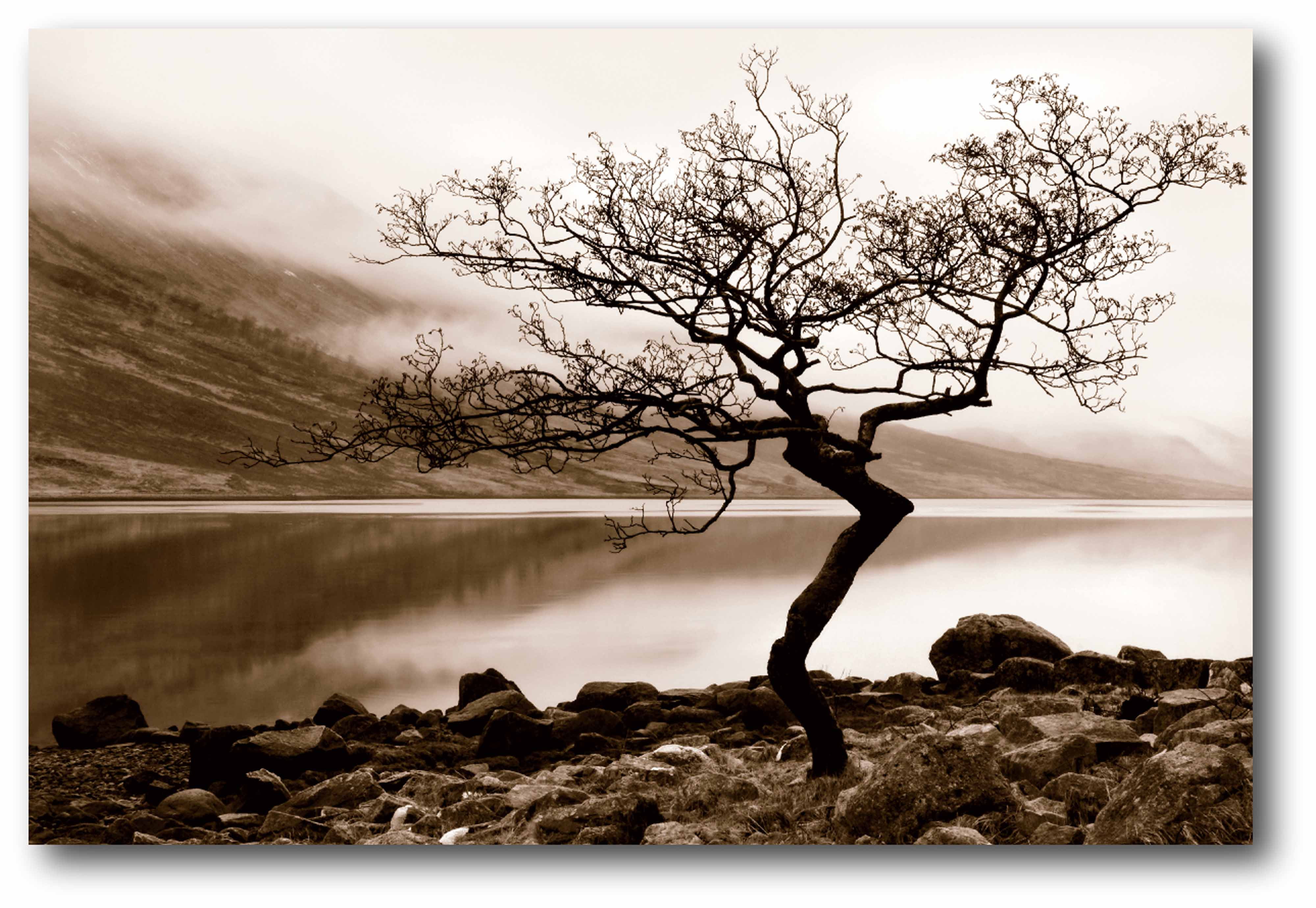 Loch Etive Gallery-Wrapped Canvas Wall Art, 24x36