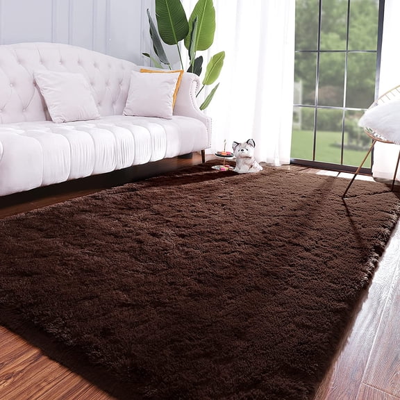 Lochas Fluffy Area Rug Shag Carpet for Bedroom Indoor Fuzzy Rugs for Living Room Home Decor,5'x8', Coffee