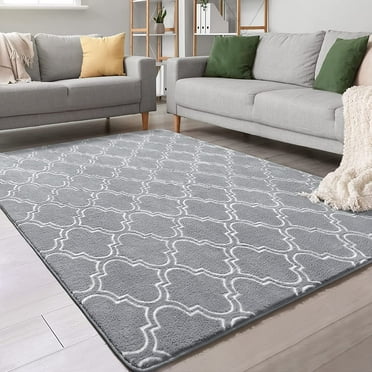 Lochas Soft Modern Area Rug Boho Geometric Rugs for Bedroom Living Room Nursery Modern Home Decor Carpet,4'x6',Gray & White