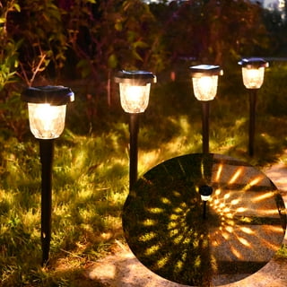 Charleston solar pathway lights deals