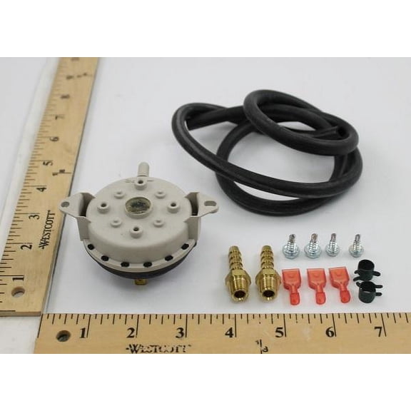 Lochinvar & A.O. Smith 100166241 - High-Performance .21"Wc SPDT Pressure Switch