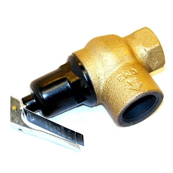 Lochinvar & A.O. Smith 100208442 - Relief Valve 50#
