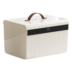 Large Lock Box