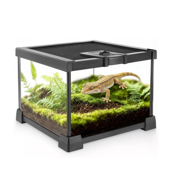 VNEKVA Small Glass Terrarium with Lockable Top, Reptile Tank for Geckos, Lizards, Snakes, Turtles & Amphibians