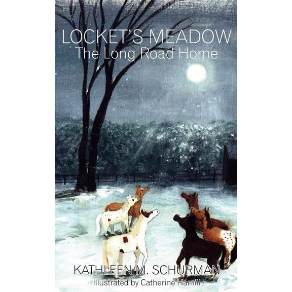 Locket's Meadow: The Long Road Home, (Paperback)