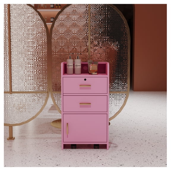 Locking Beauty Salon Storage Cabinet, Stylist Equipment Drawer Holder, Professional Hairdresser Salon Organizer Cupboard for Beauty Spa Furniture