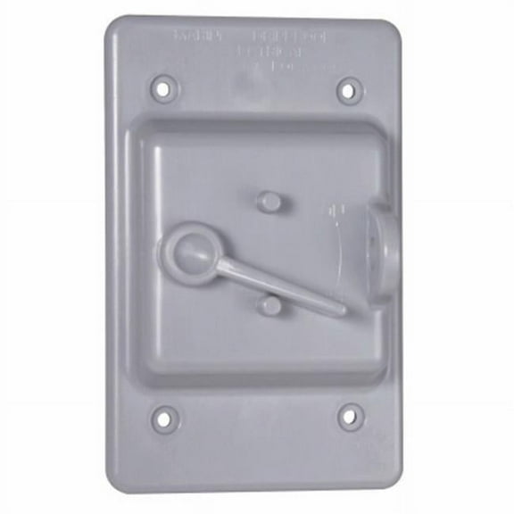 Locking Switch Cover Non Metallic, Gray