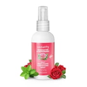 Locsanity Rosewater & Peppermint Daily Moisturizing Spray – Nourishing Hair & Scalp Hydration, 4oz Trial Size