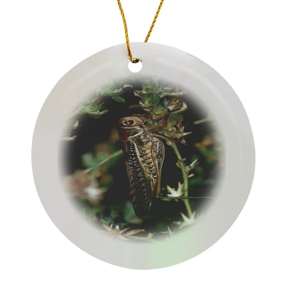 Locust  A Close Up Photograph Of A Locust Or Grasshopper Winged Insect , Circle Porcelain Ornament