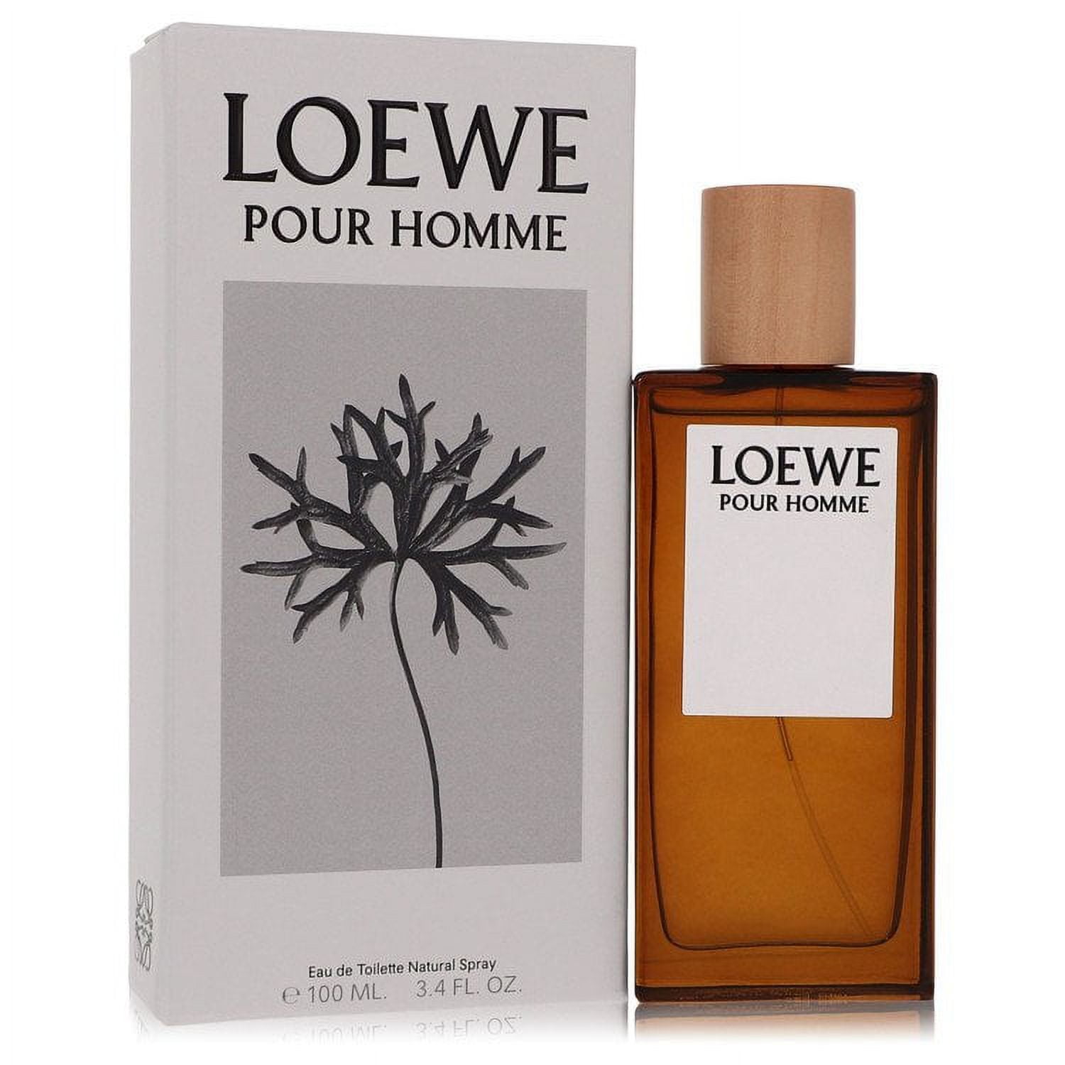 Loewe Pour Homme Eau De Toilette Spray, 3.4 oz for Men - Fresh