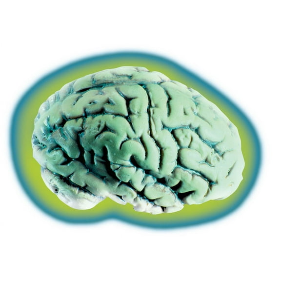 Loftus Glowing Alien Organ Brain Halloween Decoration Prop, Green