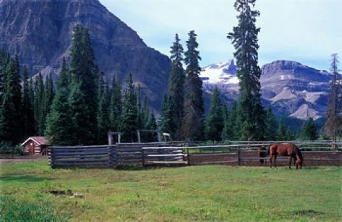 Log Cabin Horse and Corral Banff National Park Alberta Canada Canvas Art - Janis Miglavs DanitaDelimont (37 x 24)