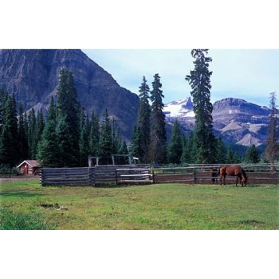 Log Cabin, Horse and Corral, Banff National Park, Alberta, Canada Poster Print by Janis Miglavs (37 x 24)