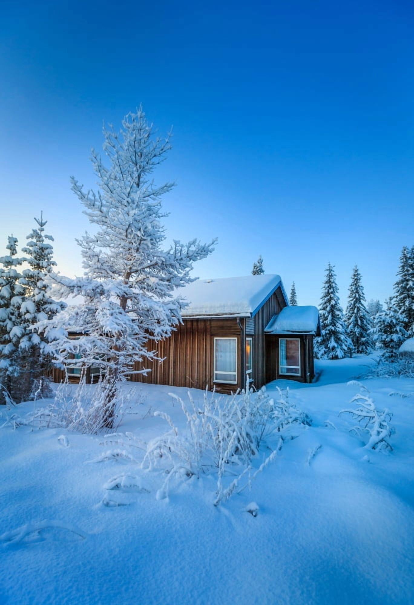 Log Cabin and snow covered trees in extreme cold temperatures Lapland Sweden Canvas Art - Panoramic Images (36 x 24)