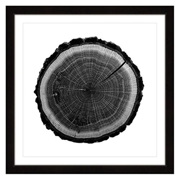 Log Framed Painting Print