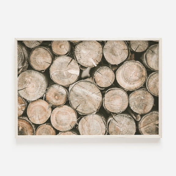 Log Pile Photo, Tree Ring Print, Rustic Home Decor, Wood Wall Art, Nature Photography, Modern Rustic
