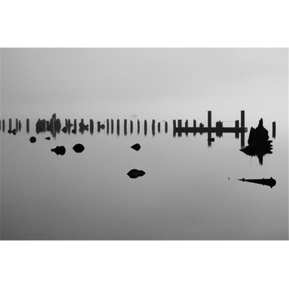 Log Pilings Silhouetted Against Foggy Lake - Bellingham Washington United States of America Poster Print by Blake Kent, 19 x 12