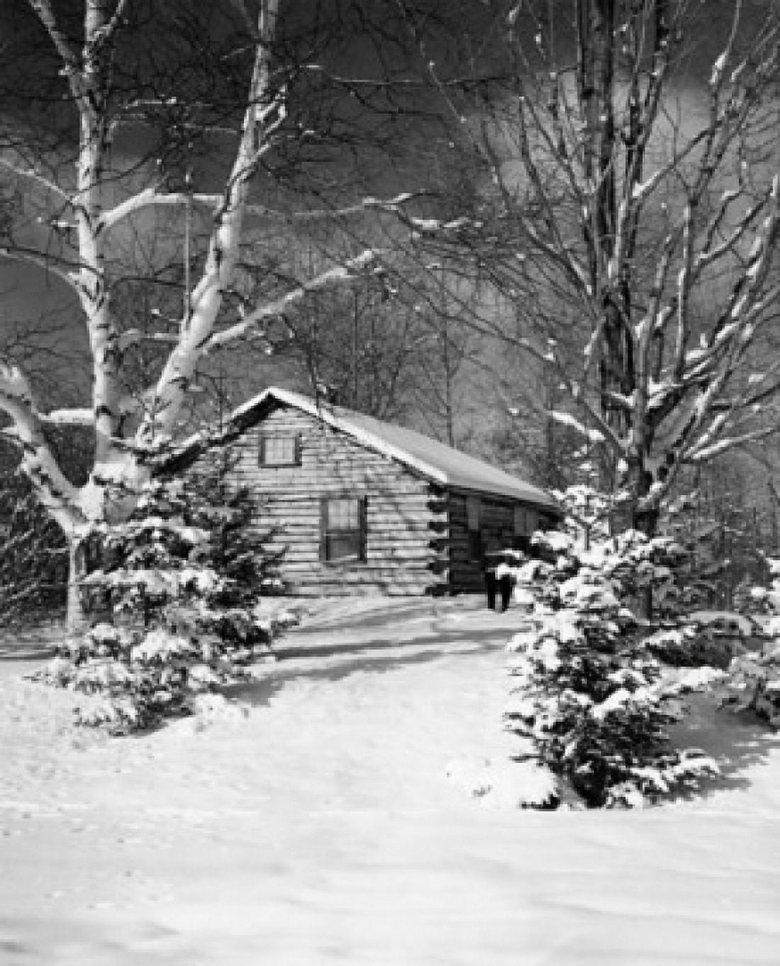 Log cabin covered with snow Canvas Art - (24 x 36)