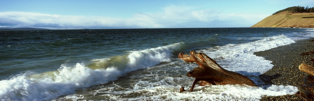 Log on the beach Ebeys Landing National Historical Reserve Whidbey Island Island County Washington State USA Canvas Art - Panoramic Images (36 x 12)