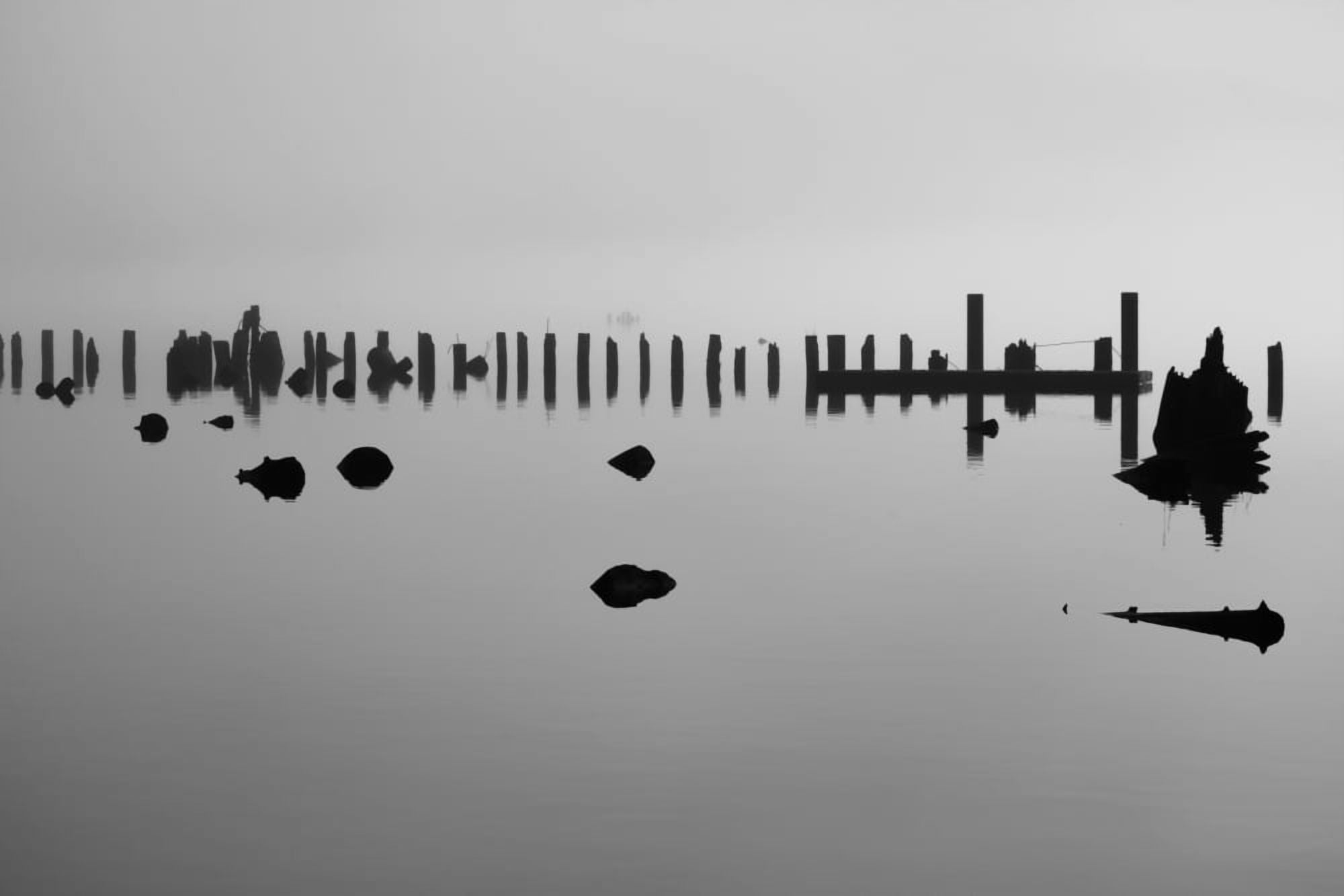 Log pilings silhouetted against foggy lake Bellingham Washington United States of America Canvas Art - Blake Kent  Design Pics (38 x 24)