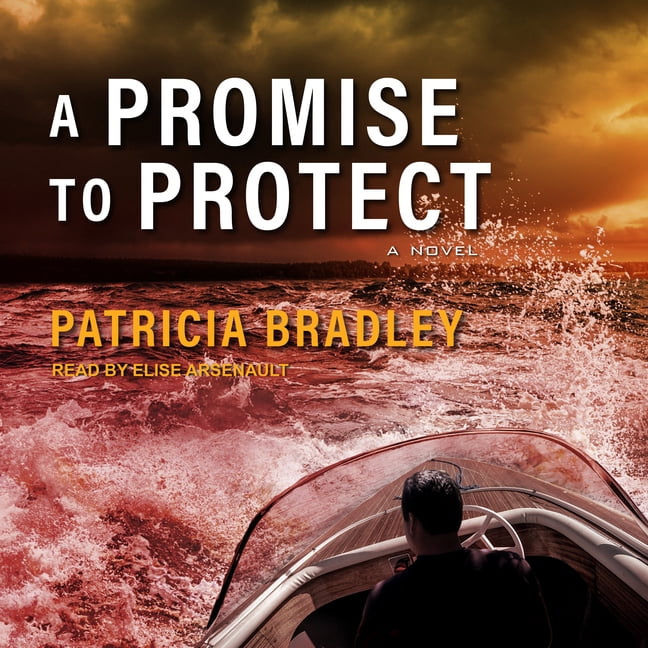 Logan Point: A Promise to Protect (Audiobook)