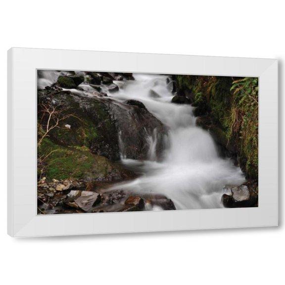 Logan Thomas 14x11 White Modern Wood Framed Wall Art Titled - Stream Falls III