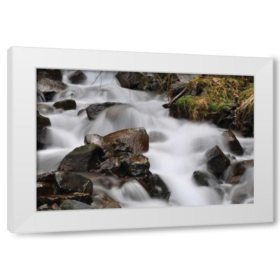 Logan Thomas 14x11 White Modern Wood Framed Wall Art Titled - Stream Falls II