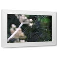 thumbnail image 1 of Logan Thomas 32x23 White Modern Wood Framed Wall Art Titled - Spiderweb II, 1 of 5