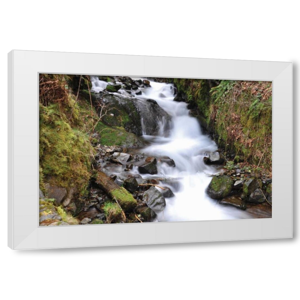 Logan Thomas 32x23 White Modern Wood Framed Wall Art Titled - Stream ...
