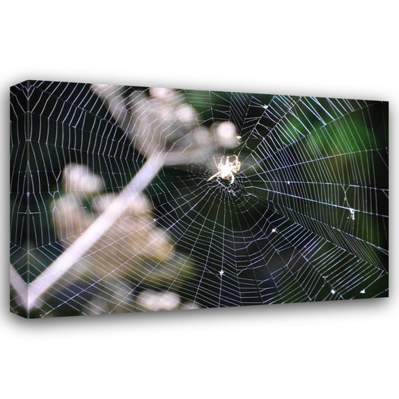 Logan Thomas 44x31 Gallery Wrapped Canvas Wall Art Titled - Spiderweb II