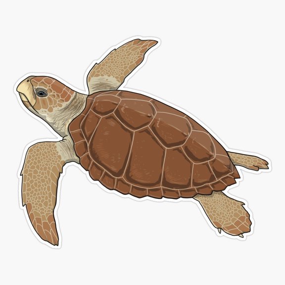 Loggerhead Sea Turtle Ocean Wildlife Sticker