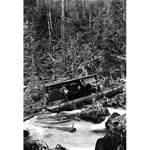 Logging Boat in a Tangle Fine art canvas print (20" x 30")