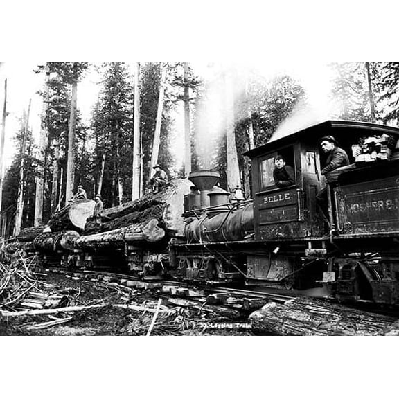 Logging Train Fine art canvas print (20" x 30")