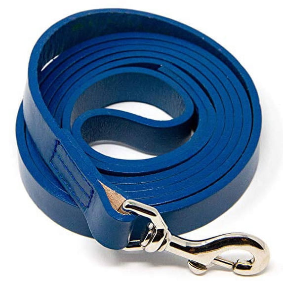 Logical Leather 6 Foot Dog Leash - Best for Training - Water Resistant Heavy Full Grain Leather Lead - Blue