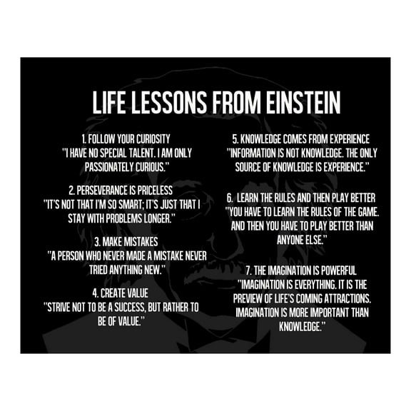 Logical Life Lessons - Motivational Wall Art Print with Einstein Quote for Rustic Home & Classroom Decor - Gift Inspiration & Motivation