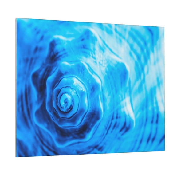 Logiee Blue Shell Print Canvas Wall Art ,Art Poster,Canvas Decorative Picture,Decor Wall Pictures for Living Room Bedroom Bathroom,Ready to Hang