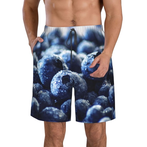 Logiee Blueberry Print Mens Swim Trunks Quick Dry Board Shorts,Breathable Hawaii Beach Shorts Swimwear Bathing Suits-Large