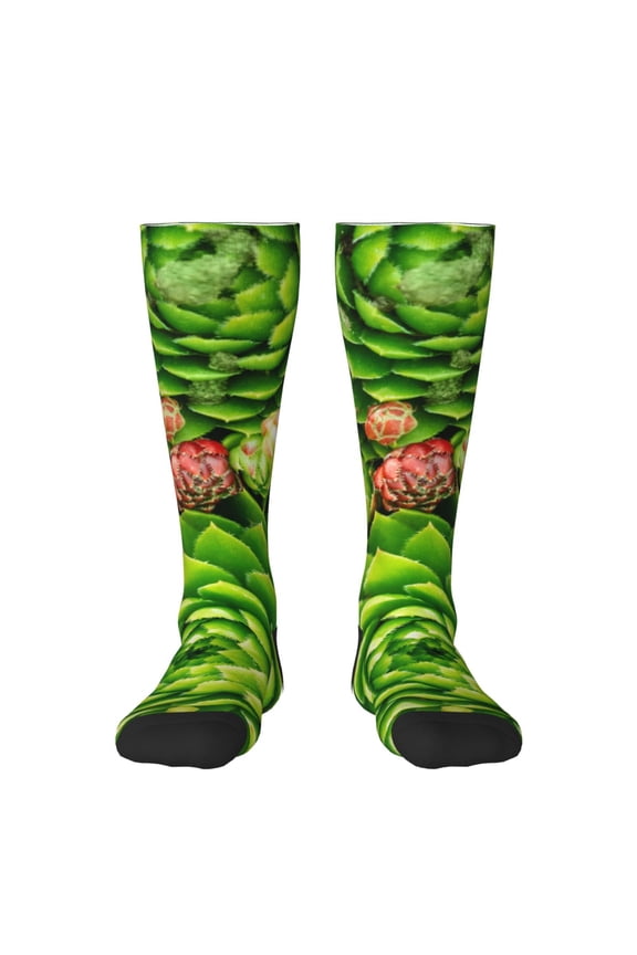 Cactus And Succulents Print Gift Stocking Stuffers,Adult Stockings,Novelty Socks,Funny Socks Birthday Running Walking Sleeping