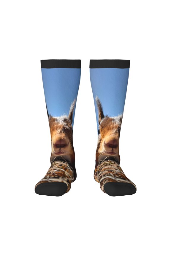Close-Up Curious Squirrel Print Gift Stocking Stuffers,Adult Stockings,Novelty Socks,Funny Socks Birthday Running Walking Sleeping