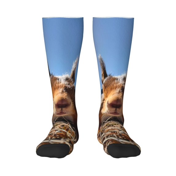 Logiee Close-Up Curious Squirrel Print Gift Stocking Stuffers,Adult Stockings,Novelty Socks,Funny Socks Birthday Running Walking Sleeping