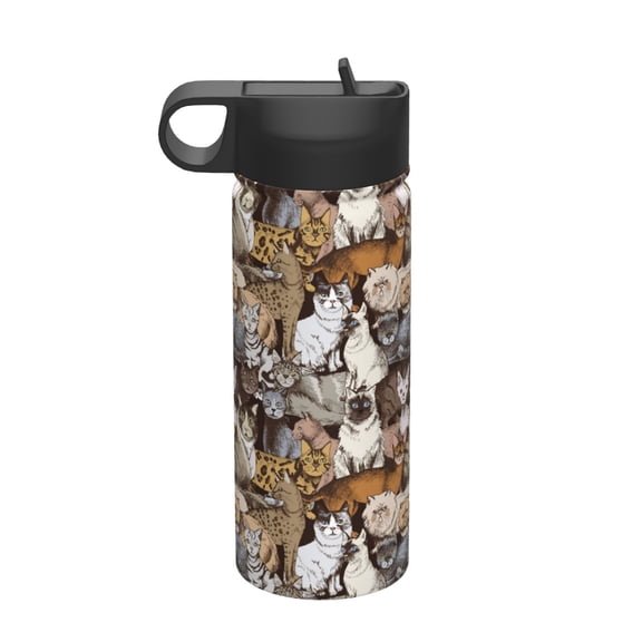 Logiee Cut Cats Print 18oz Sports Insulated Kettle With Straw,Insulated Water Bottle For Running Hiking Cycling Climbing,Man Womans Insulated Water Bottle