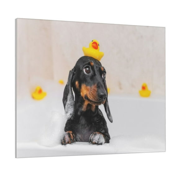 Logiee Dachshund Sitting in Bathtub Print Canvas Wall Art ,Art Poster,Canvas Decorative Picture,Decor Wall Pictures for Living Room Bedroom Bathroom,Ready to Hang