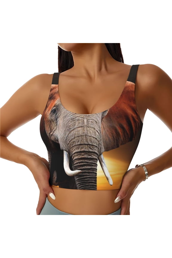 Elephant Sunset in Kenya Print Workout Crop Tank Top for Women,Yoga Tank Tops,Athletic Vest,Exercise Undershirts,Sports Bra-Large