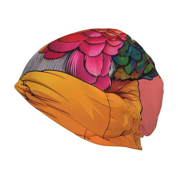 Logiee Hip Hummingbird In Jacket Print Unisex Knit Beanie for Men Women Winter Hat,Beanies Skull Caps