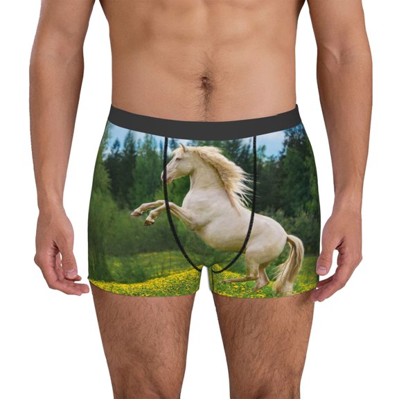 Logiee Horse Rearing Up In The Field Print Mens Boxer Briefs,Boxer Briefs for Men,Breathable Stretch Underwear,Boys Boxer Briefs-Large